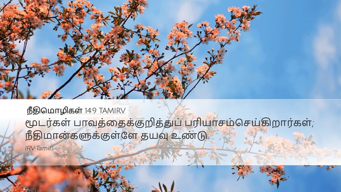 நீதிமொழிகள் 14:9 TAMIRV Bible Verse Image