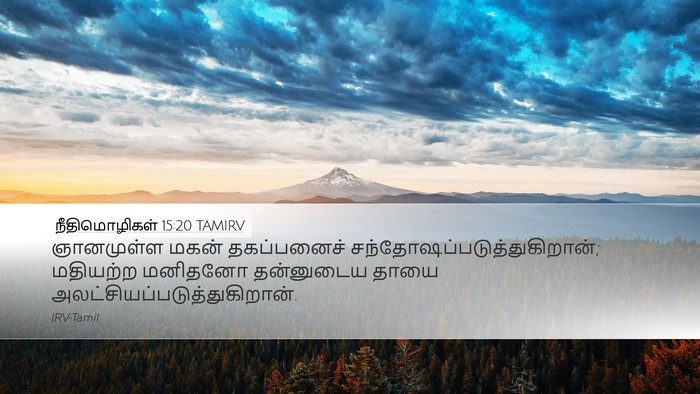 நீதிமொழிகள் 15:20 TAMIRV Bible Verse Image