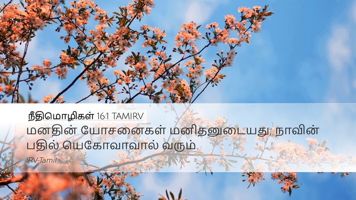 நீதிமொழிகள் 16:1 TAMIRV Bible Verse Image