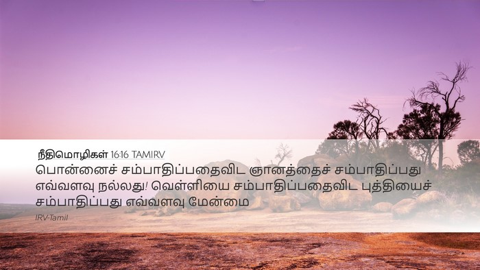 நீதிமொழிகள் 16:16 TAMIRV Bible Verse Image