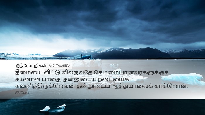 நீதிமொழிகள் 16:17 TAMIRV Bible Verse Image