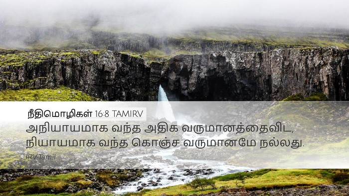 நீதிமொழிகள் 16:8 TAMIRV Bible Verse Image
