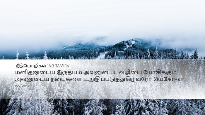 நீதிமொழிகள் 16:9 TAMIRV Bible Verse Image