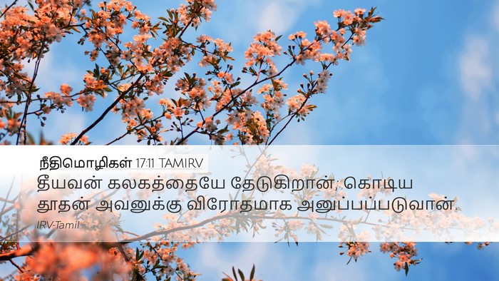 நீதிமொழிகள் 17:11 TAMIRV Bible Verse Image