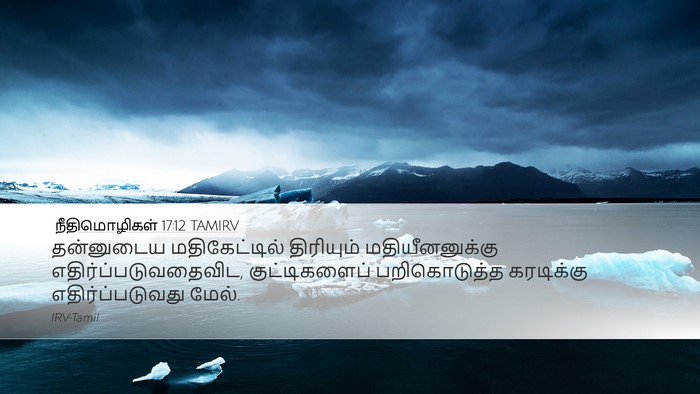 நீதிமொழிகள் 17:12 TAMIRV Bible Verse Image