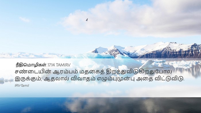 நீதிமொழிகள் 17:14 TAMIRV Bible Verse Image
