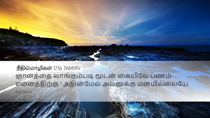 நீதிமொழிகள் 17:16 TAMIRV Bible Verse Image