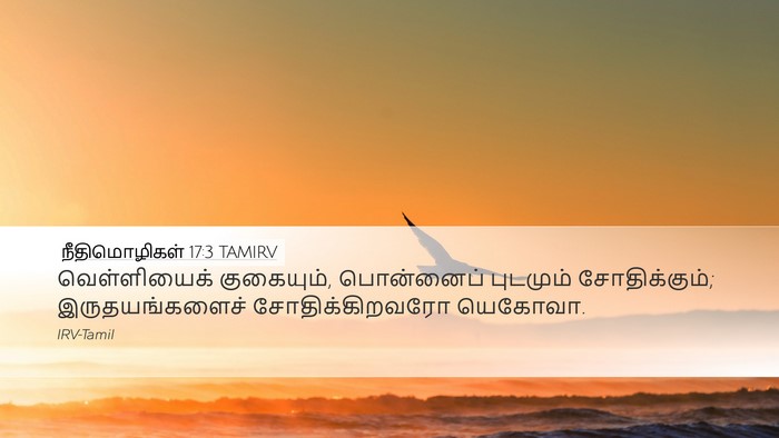 நீதிமொழிகள் 17:3 TAMIRV Bible Verse Image
