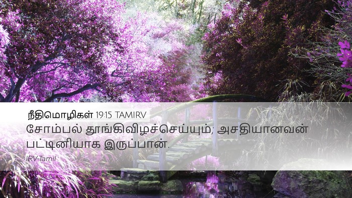 நீதிமொழிகள் 19:15 TAMIRV Desktop Wallpaper - சோம்பல் - Desktop Bible Verse Wallpaper