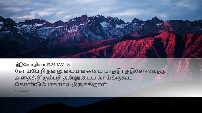 நீதிமொழிகள் 19:24 TAMIRV Bible Verse Image