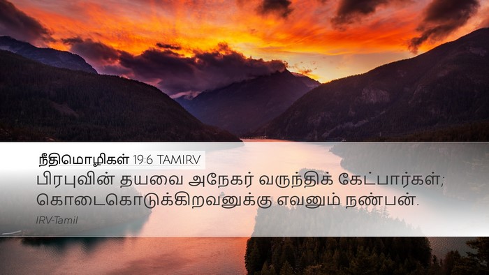நீதிமொழிகள் 19:6 TAMIRV Bible Verse Image
