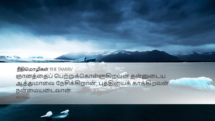 நீதிமொழிகள் 19:8 TAMIRV Desktop Wallpaper - ஞானத்தைப் - Desktop Bible Verse Wallpaper
