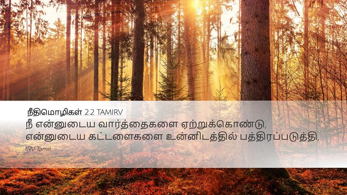நீதிமொழிகள் 2:2 TAMIRV Bible Verse Image