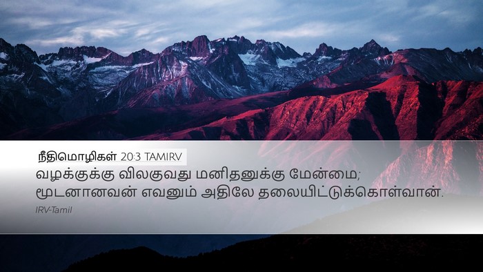 நீதிமொழிகள் 20:3 TAMIRV Bible Verse Image