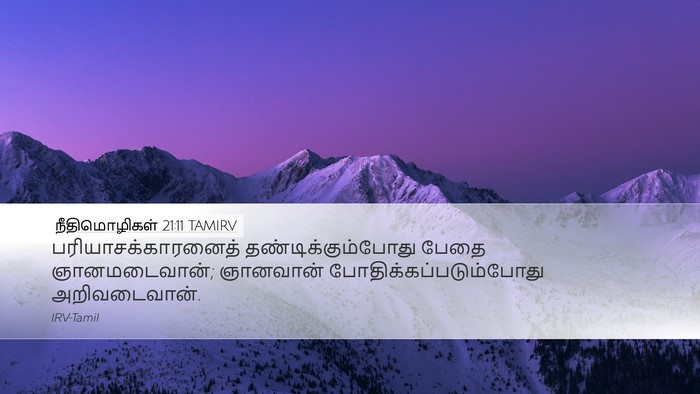 நீதிமொழிகள் 21:11 TAMIRV Bible Verse Image