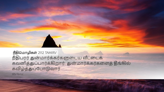 நீதிமொழிகள் 21:12 TAMIRV Bible Verse Image