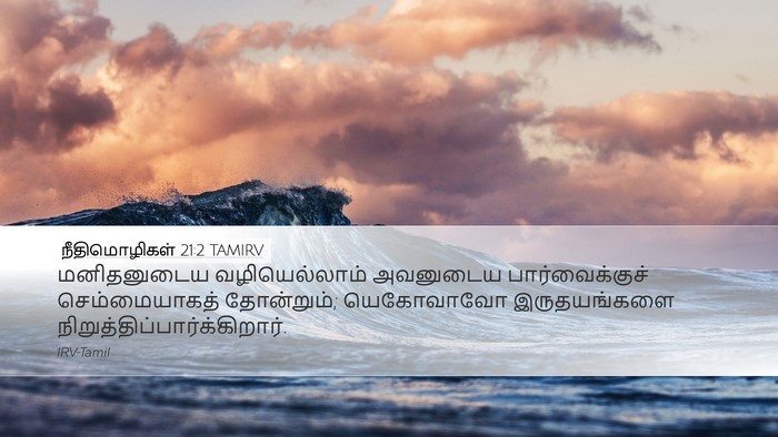 நீதிமொழிகள் 21:2 TAMIRV Bible Verse Image