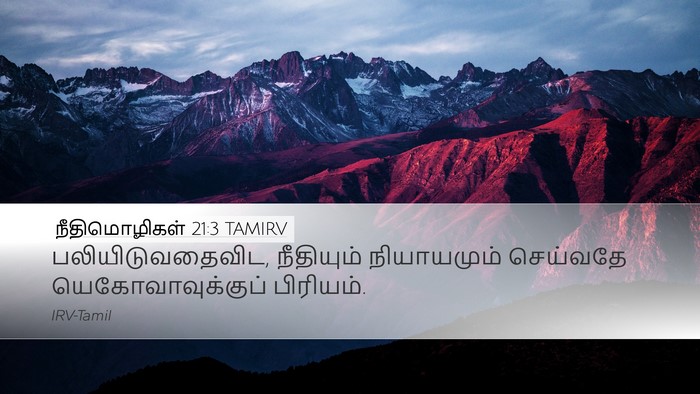 நீதிமொழிகள் 21:3 TAMIRV Bible Verse Image