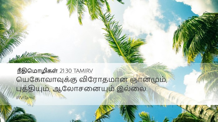 நீதிமொழிகள் 21:30 TAMIRV Bible Verse Image