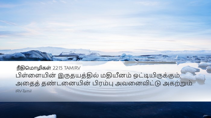 நீதிமொழிகள் 22:15 TAMIRV Bible Verse Image