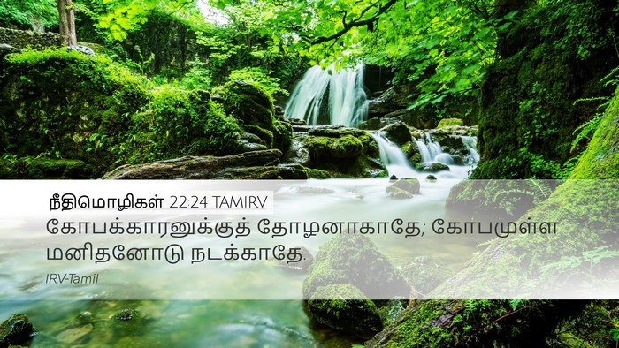 நீதிமொழிகள் 22:24 TAMIRV Bible Verse Image