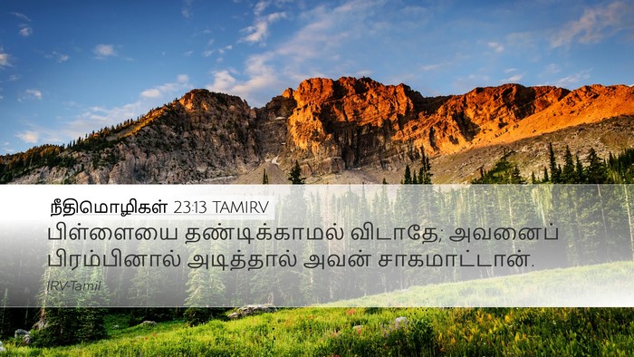 நீதிமொழிகள் 23:13 TAMIRV Bible Verse Image