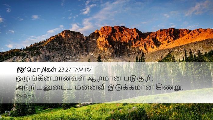 நீதிமொழிகள் 23:27 TAMIRV Bible Verse Image