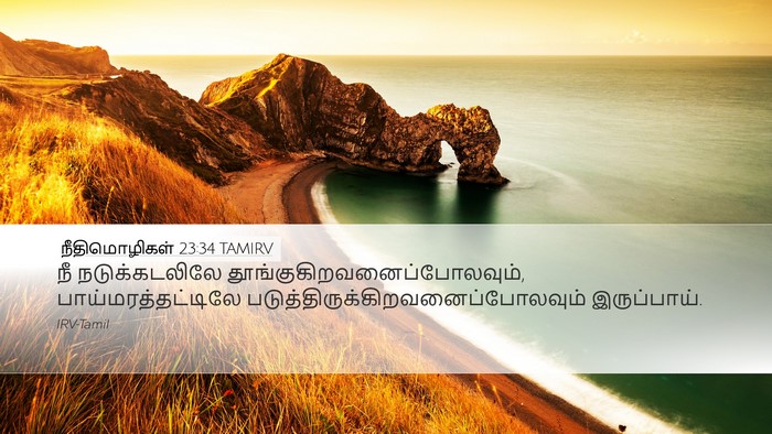 நீதிமொழிகள் 23:34 TAMIRV Bible Verse Image