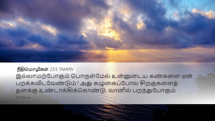 நீதிமொழிகள் 23:5 TAMIRV Bible Verse Image
