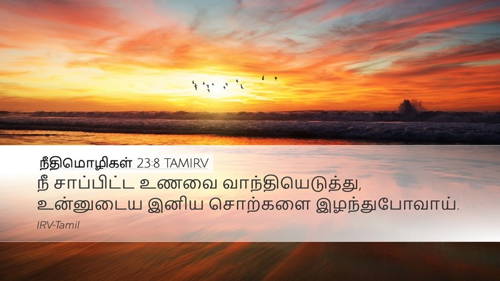 நீதிமொழிகள் 23:8 TAMIRV Desktop Wallpaper - நீ சாப்பிட்ட உணவை - Desktop Bible Verse Wallpaper