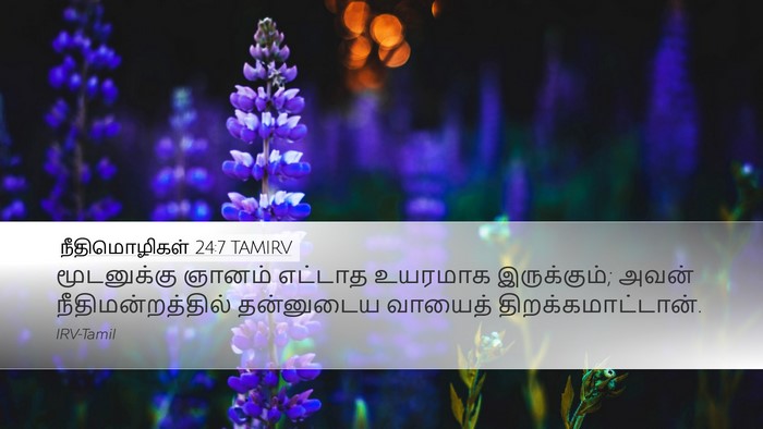 நீதிமொழிகள் 24:7 TAMIRV Bible Verse Image