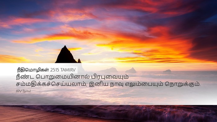 நீதிமொழிகள் 25:15 TAMIRV Bible Verse Image