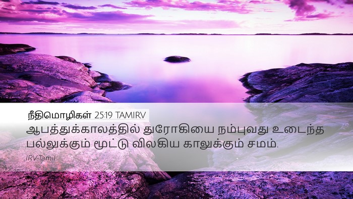 நீதிமொழிகள் 25:19 TAMIRV Bible Verse Image