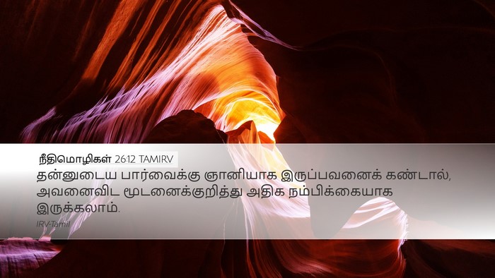 நீதிமொழிகள் 26:12 TAMIRV Bible Verse Image