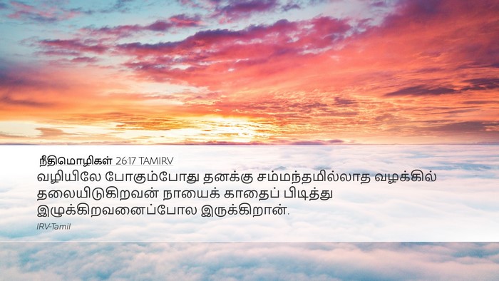 நீதிமொழிகள் 26:17 TAMIRV Bible Verse Image
