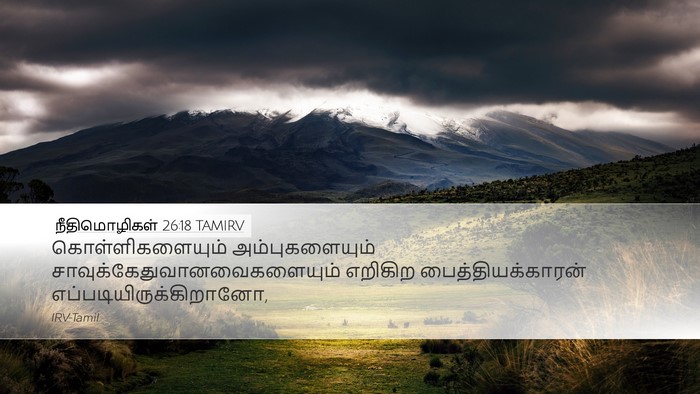 நீதிமொழிகள் 26:18 TAMIRV Bible Verse Image
