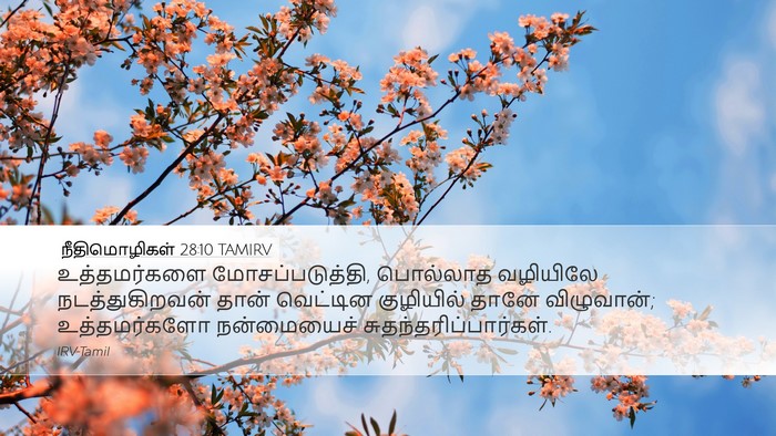 நீதிமொழிகள் 28:10 TAMIRV Bible Verse Image