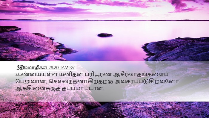 நீதிமொழிகள் 28:20 TAMIRV Bible Verse Image