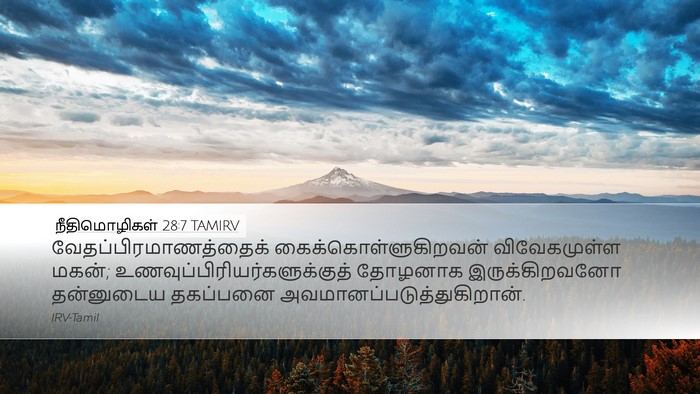 நீதிமொழிகள் 28:7 TAMIRV Bible Verse Image
