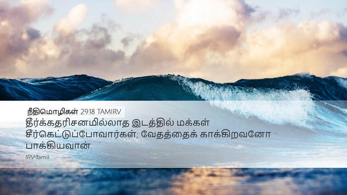 நீதிமொழிகள் 29:18 TAMIRV Bible Verse Image