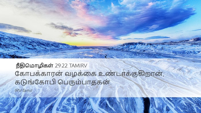 நீதிமொழிகள் 29:22 TAMIRV Bible Verse Image