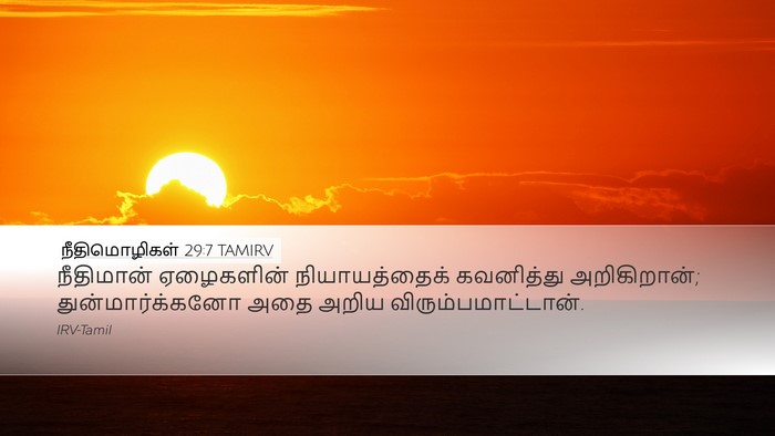 நீதிமொழிகள் 29:7 TAMIRV Bible Verse Image