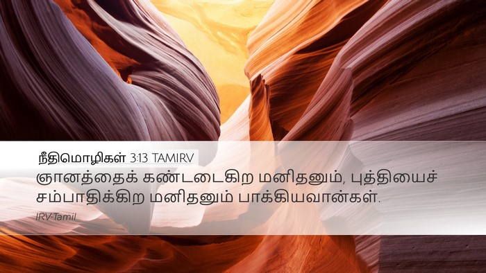நீதிமொழிகள் 3:13 TAMIRV Bible Verse Image
