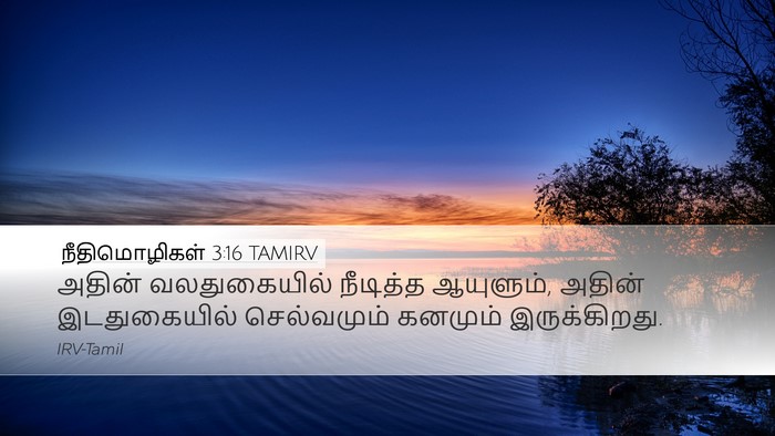நீதிமொழிகள் 3:16 TAMIRV Bible Verse Image