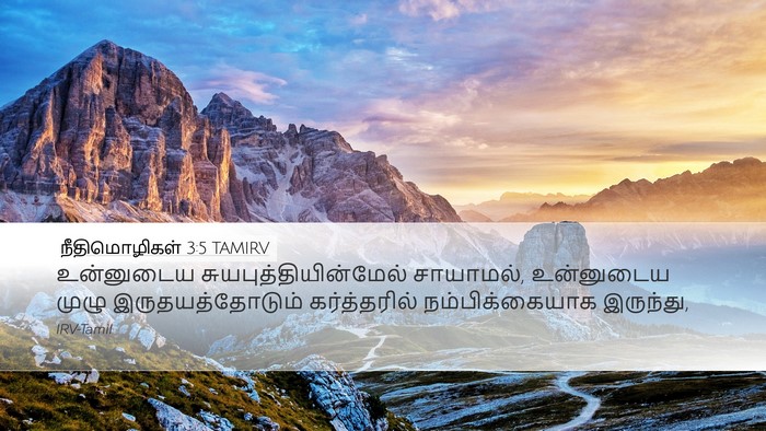 நீதிமொழிகள் 3:5 TAMIRV Bible Verse Image