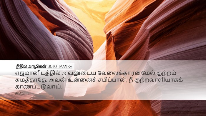 நீதிமொழிகள் 30:10 TAMIRV Bible Verse Image