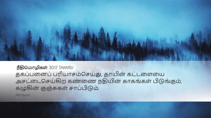 நீதிமொழிகள் 30:17 TAMIRV Bible Verse Image
