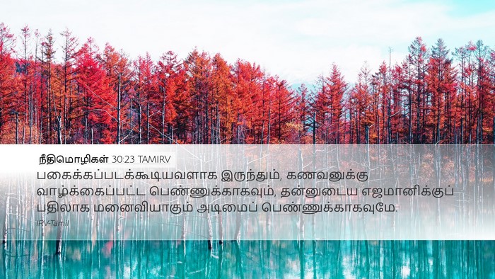 நீதிமொழிகள் 30:23 TAMIRV Desktop Wallpaper -  - Desktop Bible Verse Wallpaper