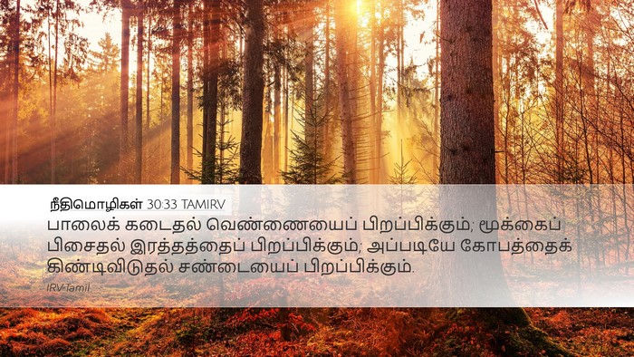 நீதிமொழிகள் 30:33 TAMIRV Bible Verse Image