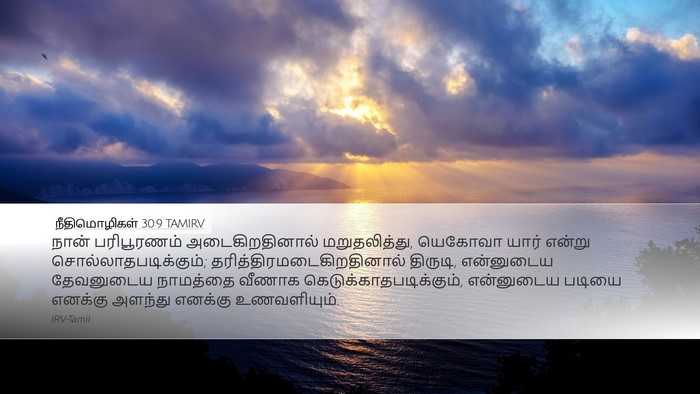 நீதிமொழிகள் 30:9 TAMIRV Bible Verse Image